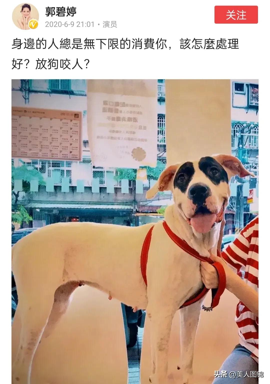 郭碧婷
